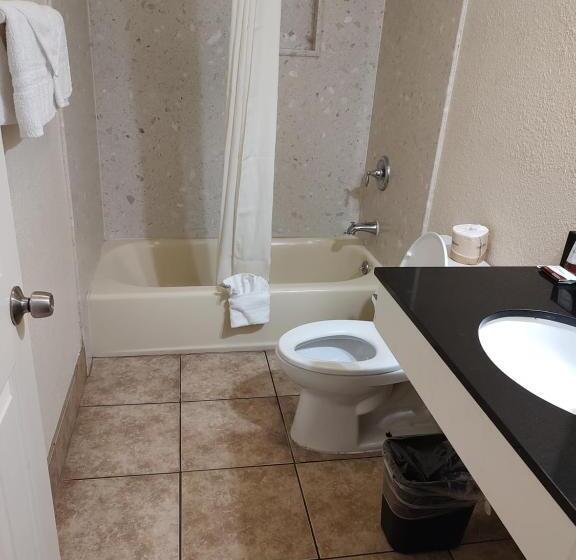 汽车旅馆  Economy Inn Richmond