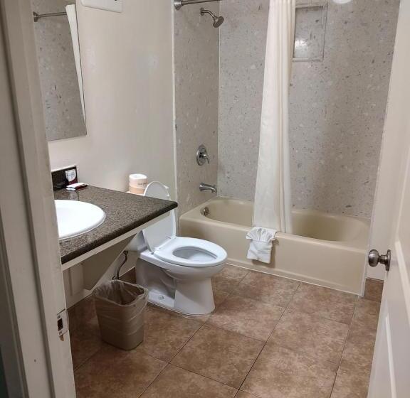 汽车旅馆  Economy Inn Richmond