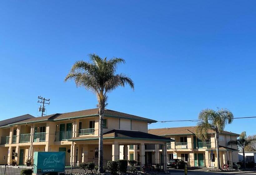 فندق على الطريق Dune Surfer Inn