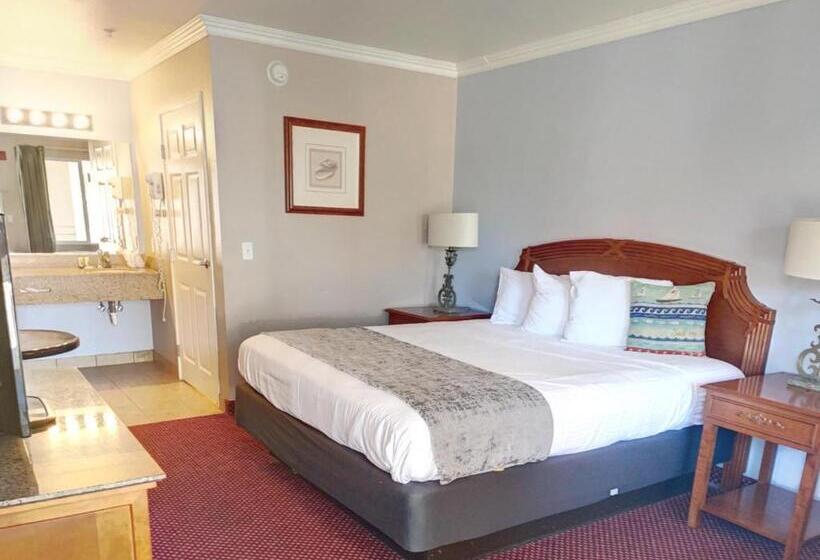 فندق على الطريق Dune Surfer Inn