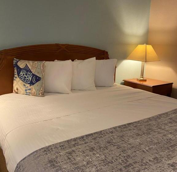 فندق على الطريق Dune Surfer Inn