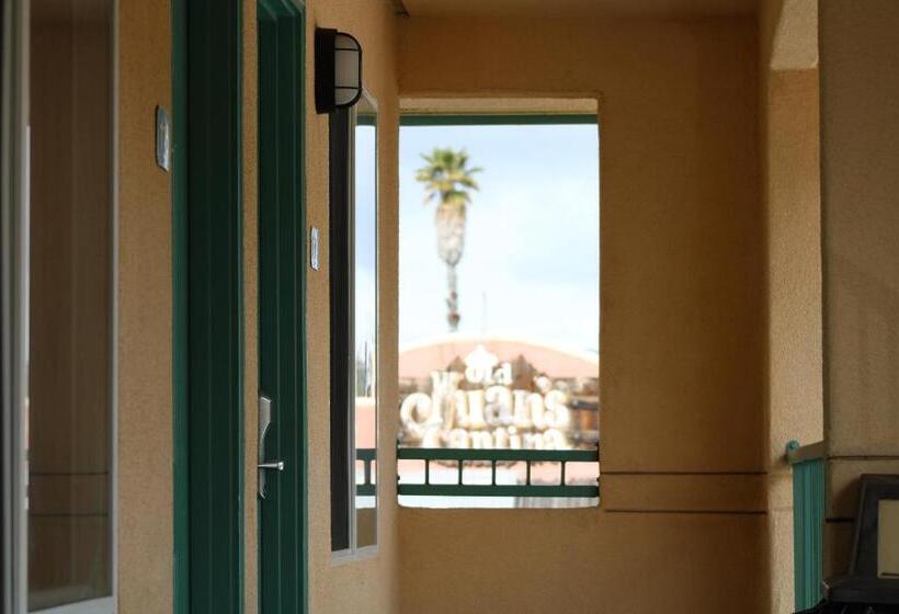 فندق على الطريق Dune Surfer Inn