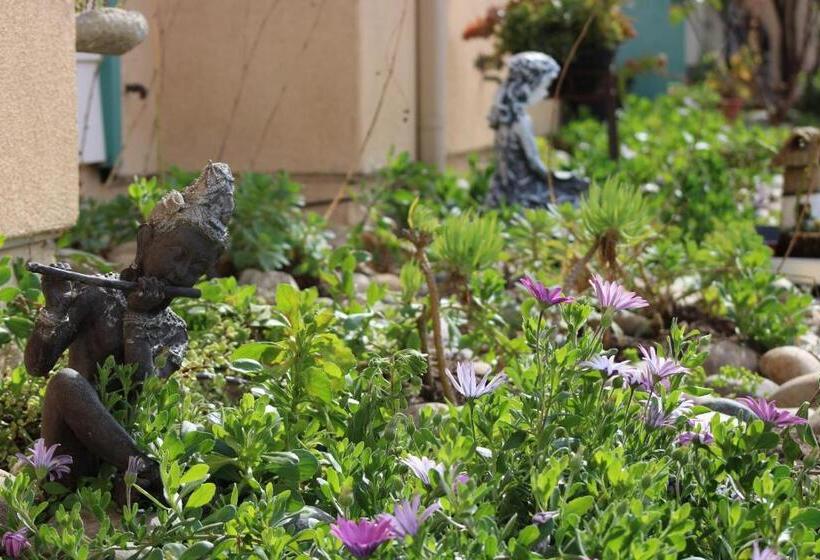 فندق على الطريق Dune Surfer Inn