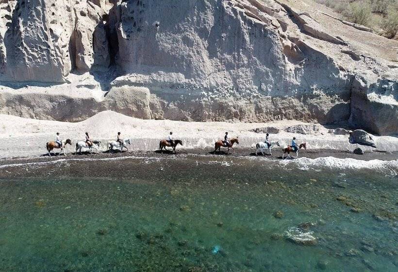 Villa Vinea Santorini