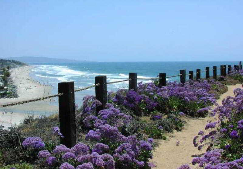 Residence Inn San Diego Del Mar