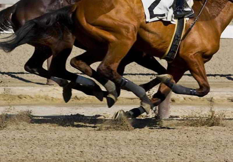 Residence Inn San Diego Del Mar