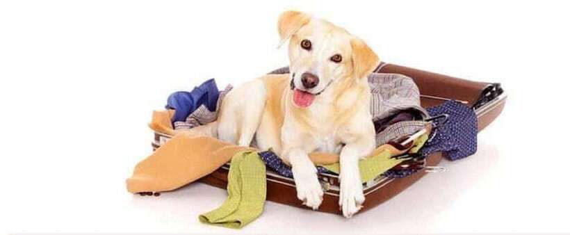 Towneplace Suites By Marriott Baton Rouge Gonzales