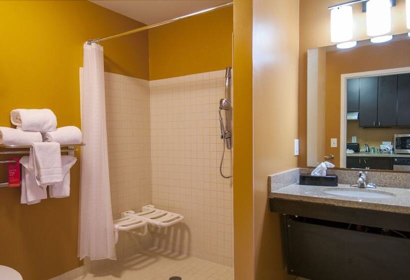 Towneplace Suites By Marriott Baton Rouge Gonzales