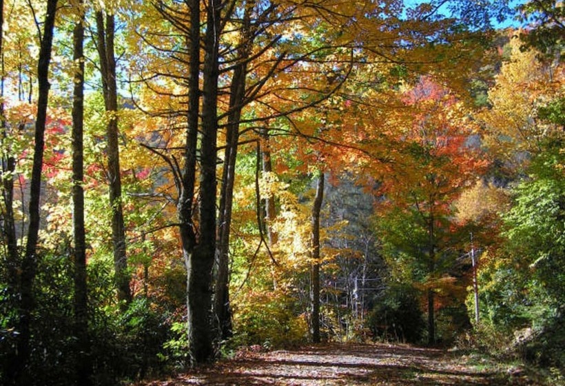 Cabins At Twinbrook Resort
