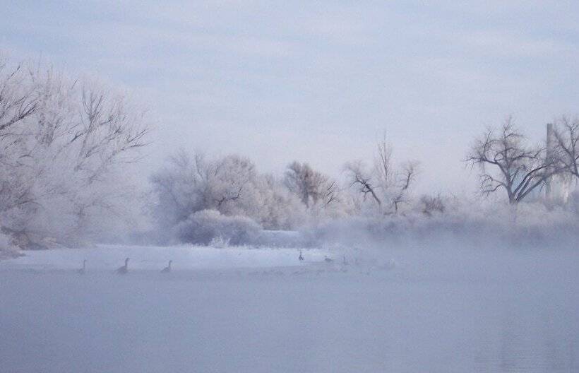 Candlewood Suites Denver Northeast   Brighton, An Ihg