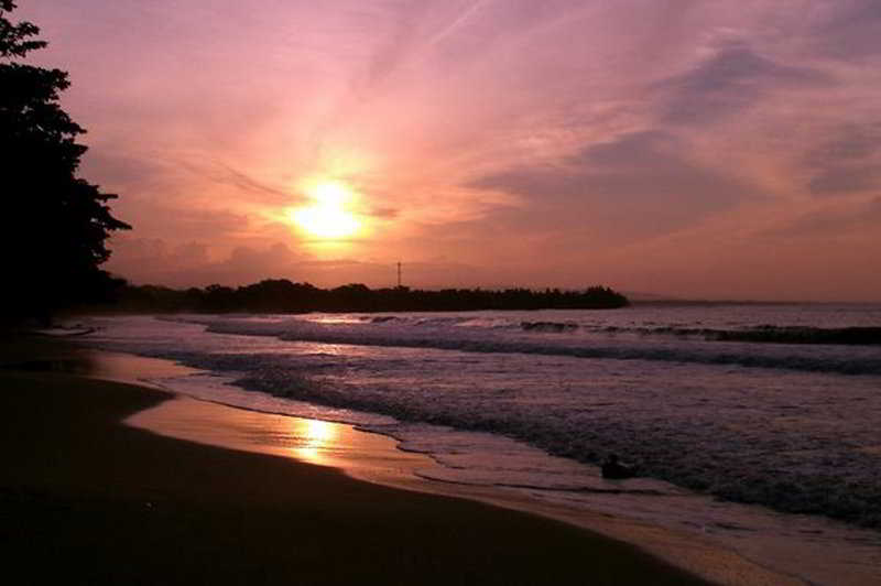 فندق Cariblue Beach and Jungle Resort