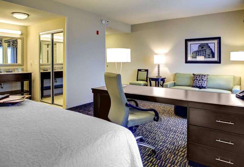 Hampton Inn & Suites Baton Rouge Downtown