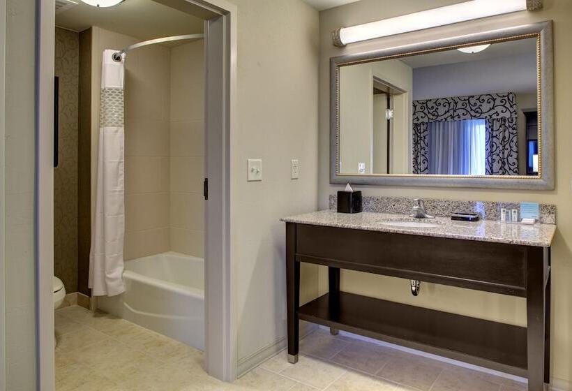 Hampton Inn & Suites Baton Rouge Downtown