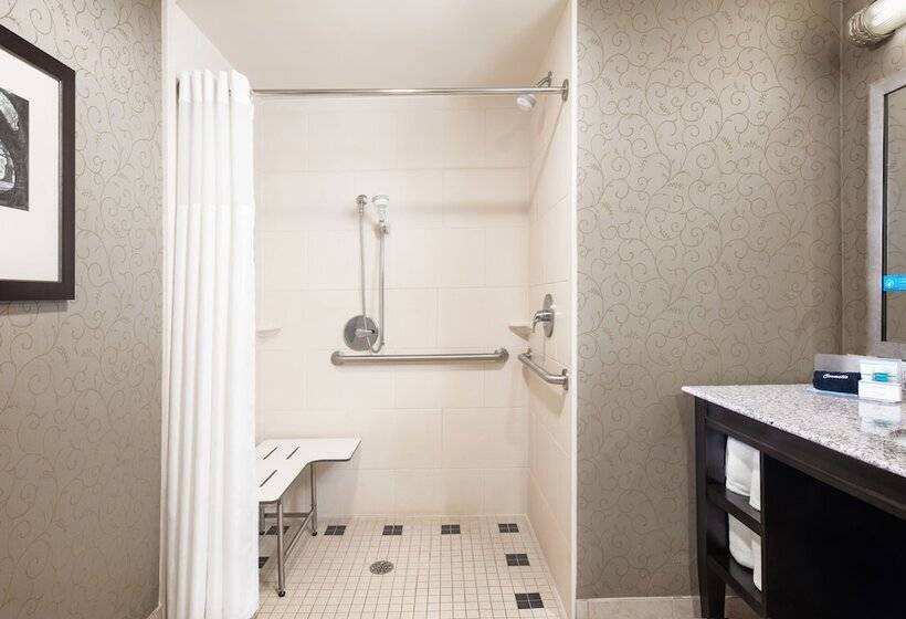 Hampton Inn & Suites Baton Rouge Downtown