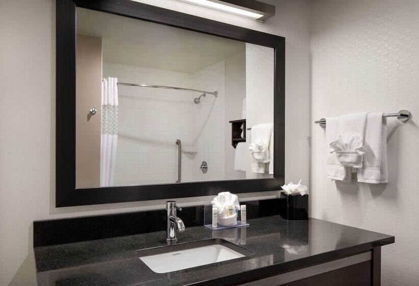 Hampton Inn & Suites Denver Downtownconvention Center