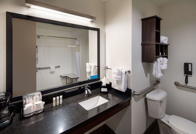 Hampton Inn & Suites Denver Downtownconvention Center