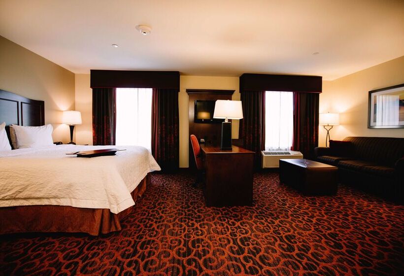 Hampton Inn & Suites Minot Airport