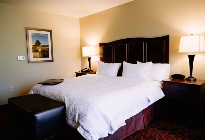 Hampton Inn & Suites Minot Airport