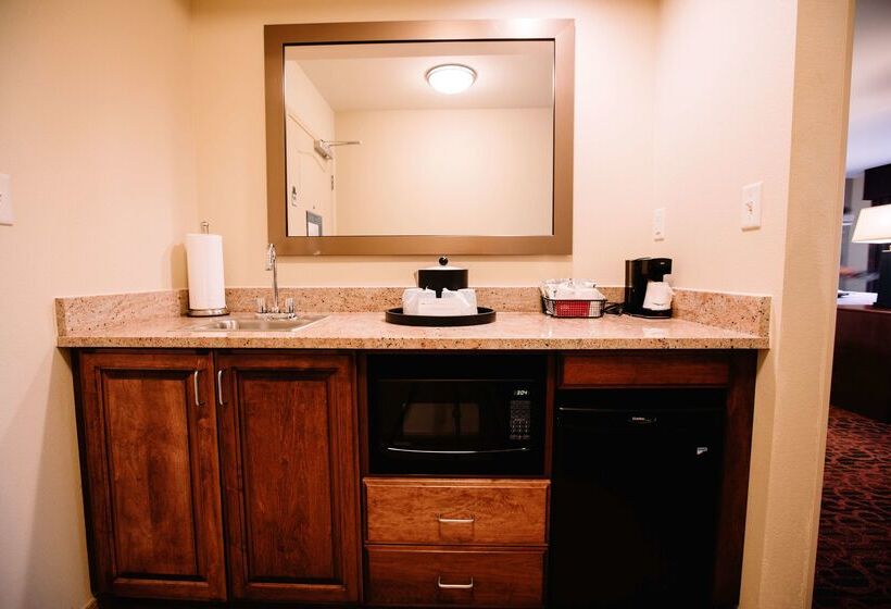 Hampton Inn & Suites Minot Airport