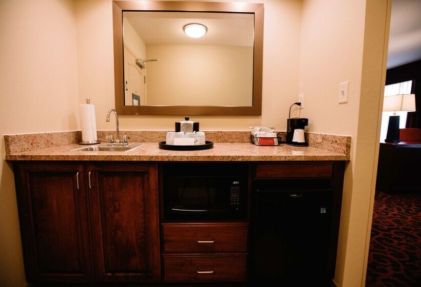 Hampton Inn & Suites Minot Airport