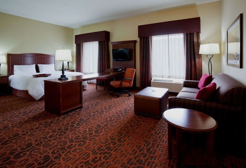 Hampton Inn & Suites Minot Airport