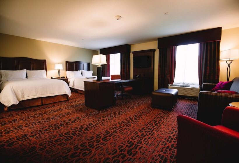 Hampton Inn & Suites Minot Airport