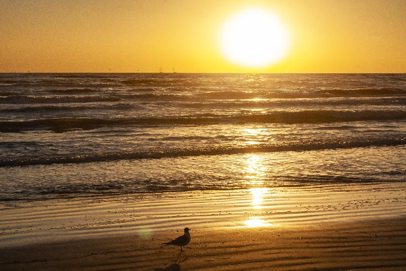Holiday Inn Resort South Padre Island Beach Front, An Ihg