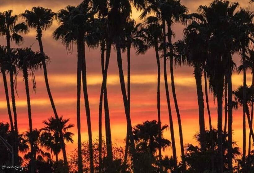Holiday Inn Resort South Padre Island Beach Front, An Ihg