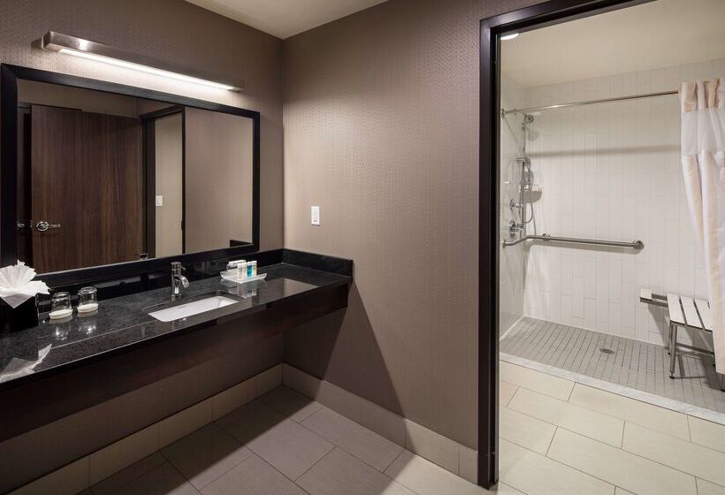 Homewood Suites By Hilton Denver Downtown Convention Center