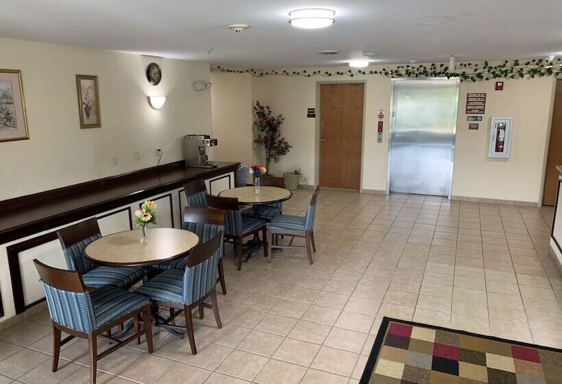 ホテル Amelia Inn & Suites