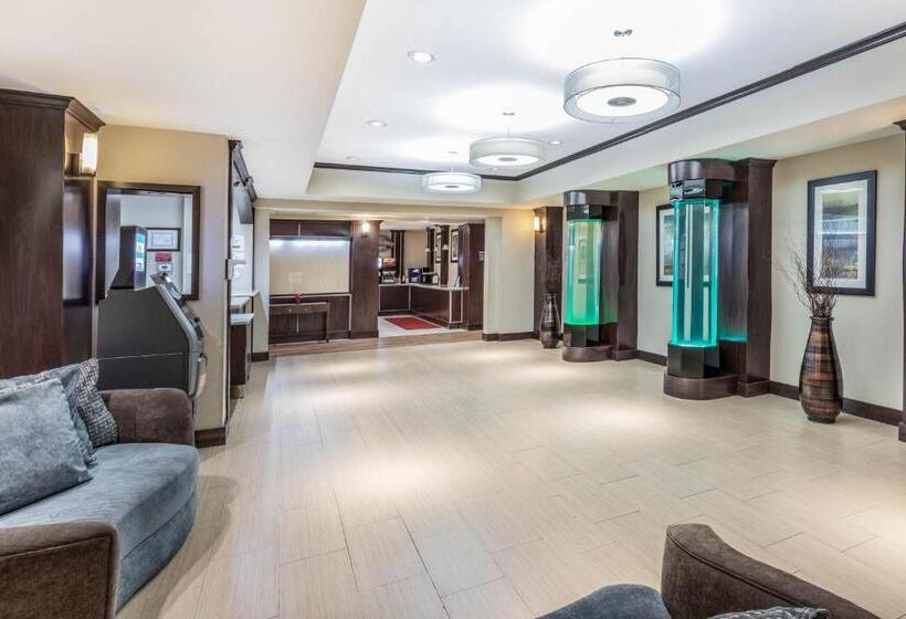 酒店 Baymont By Wyndham Victoria