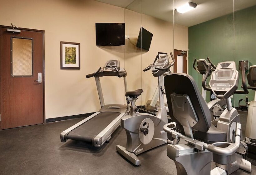 Отель Best Western Plus Carrizo Springs Inn & Suites