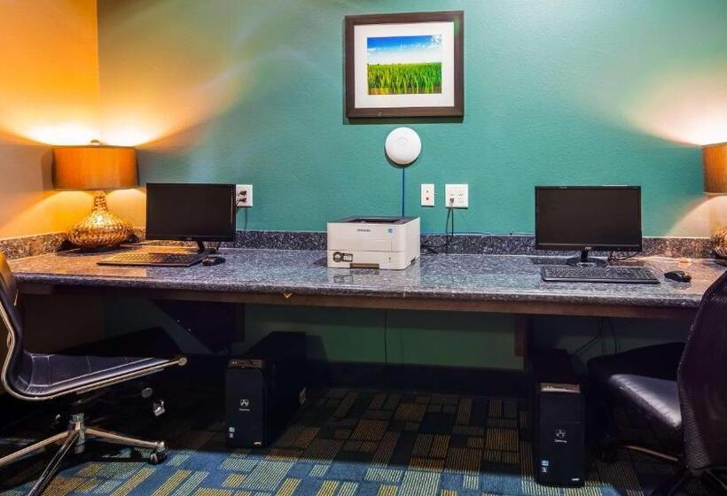 Отель Best Western Plus Carrizo Springs Inn & Suites