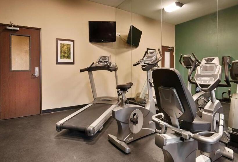 호텔 Best Western Plus Carrizo Springs Inn & Suites