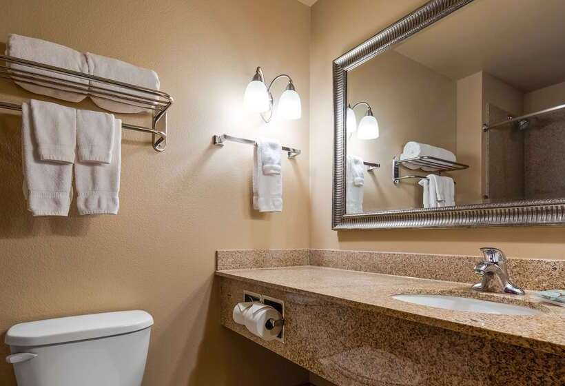 فندق Best Western Shelby Inn & Suites