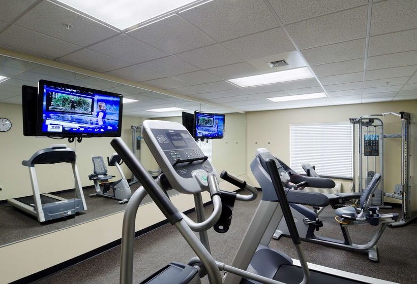 فندق Best Western Shelby Inn & Suites