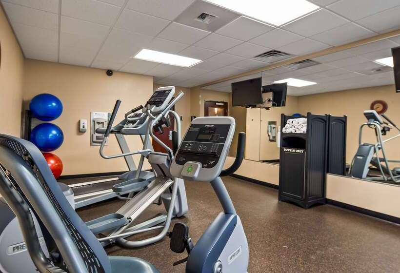 فندق Best Western Shelby Inn & Suites