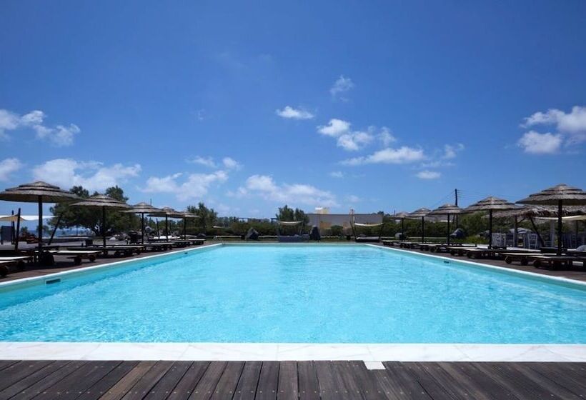 酒店 Black Rose Beach Suites