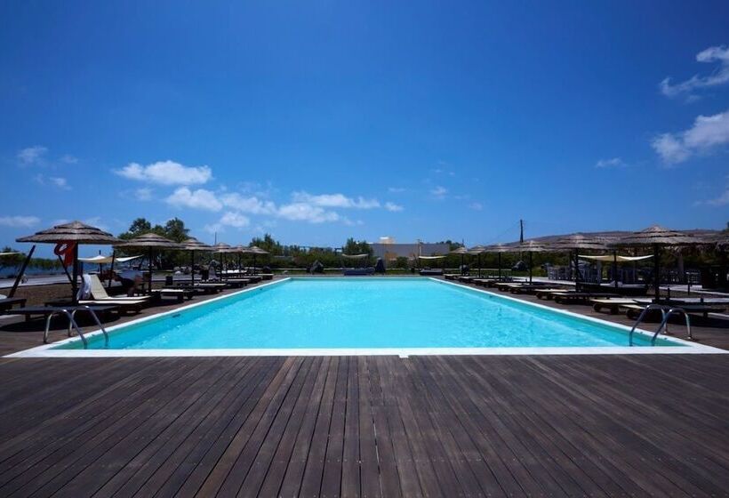 酒店 Black Rose Beach Suites