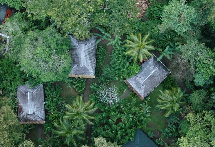 فندق Cariblue Beach and Jungle Resort