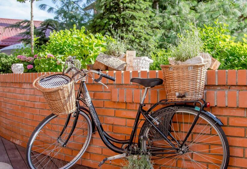 ホテル Caro Horoscop