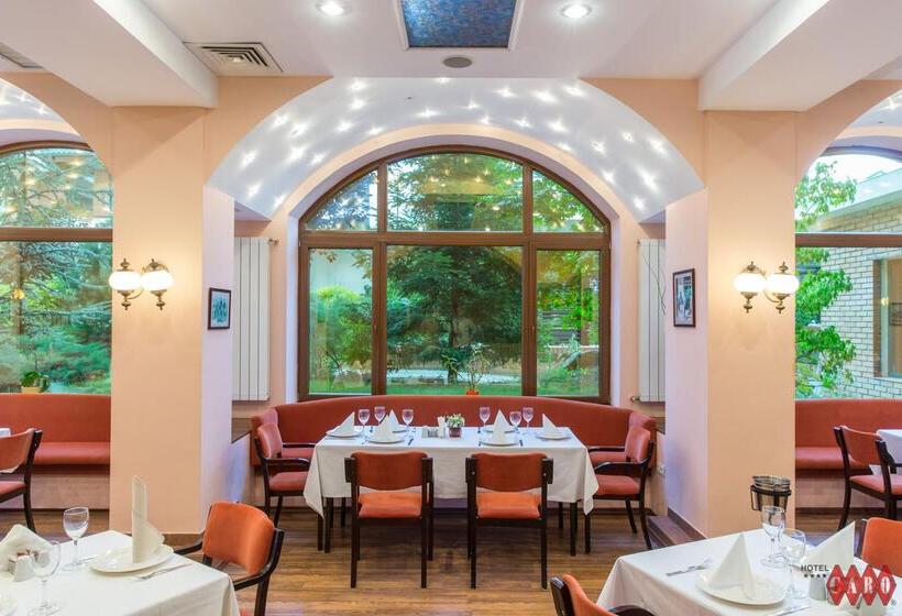 ホテル Caro Horoscop