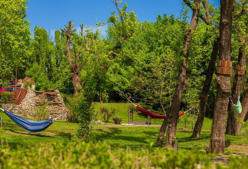 ホテル Caro Horoscop