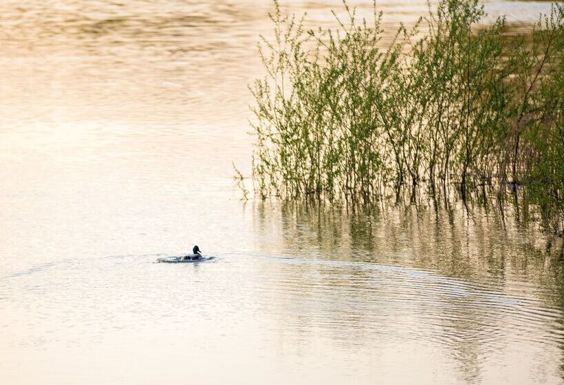 هتل Caro Horoscop