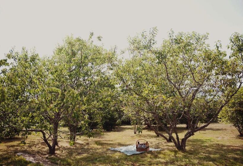 Отель Castle Hill Inn