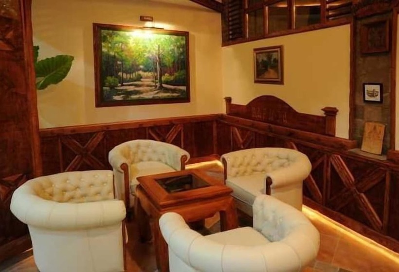 هتل Centar Balasevic