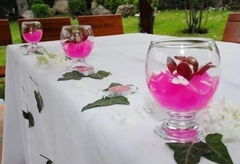 هتل Centar Balasevic