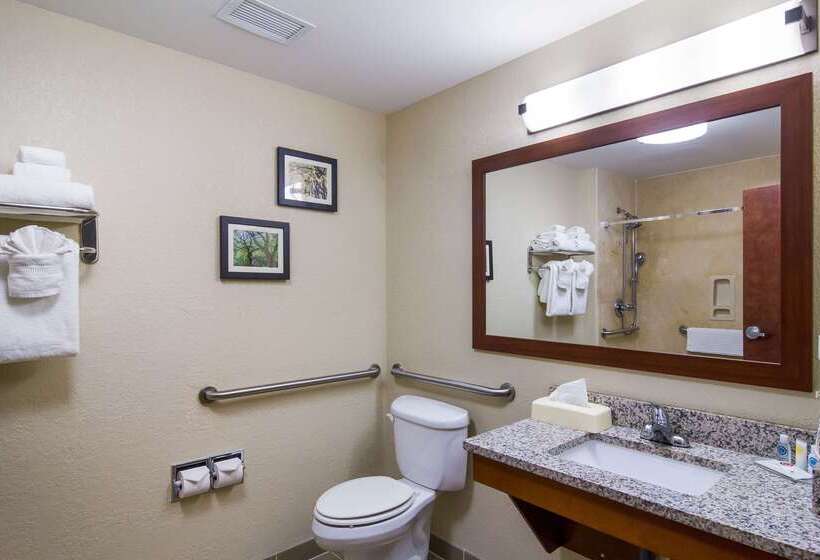 فندق Comfort Inn Blackshear Hwy 84