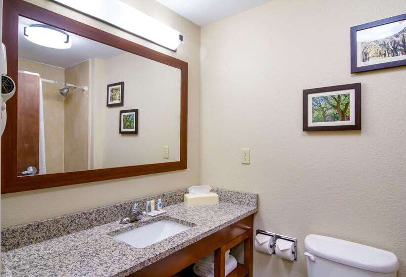 فندق Comfort Inn Blackshear Hwy 84