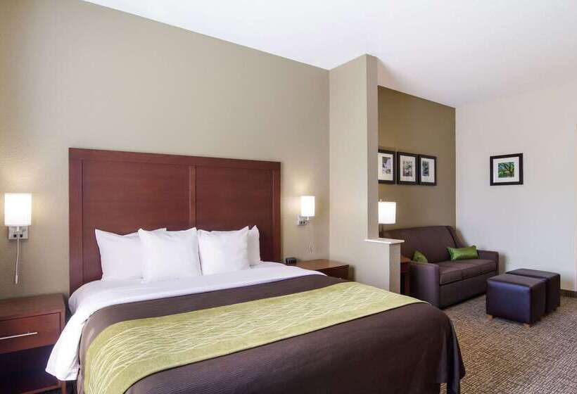 فندق Comfort Inn Blackshear Hwy 84